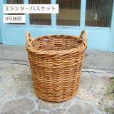 アラログ プランターバスケット 8号鉢用【在庫1】