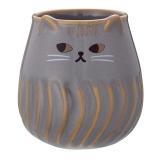 ねこの湯呑み