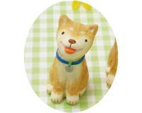 ノーティガーデン 柴犬 S