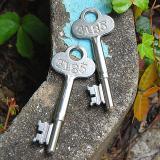 Skeleton Key Silver