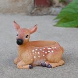 ルポゼバンビポット
